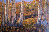 Aspen Groves