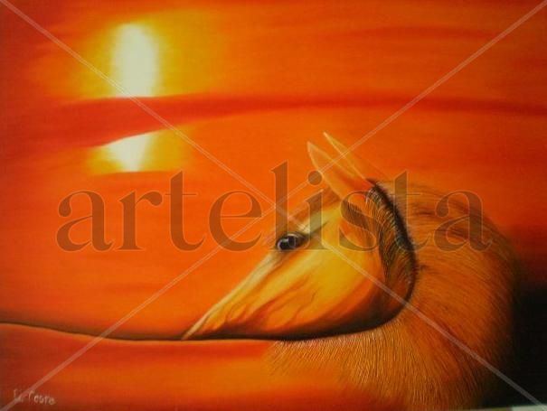 ocaso sobre caballo Oil Canvas Animals