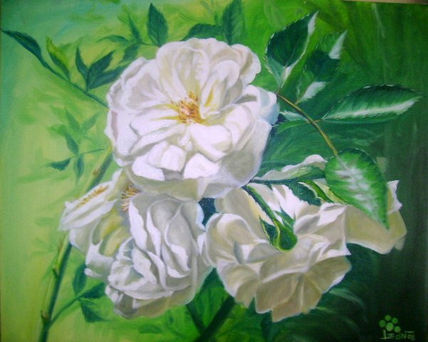 Flores