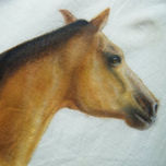 imagenes thumbnail 1