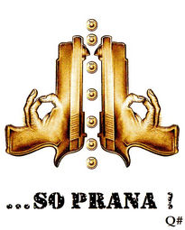 " so pena de prana,...