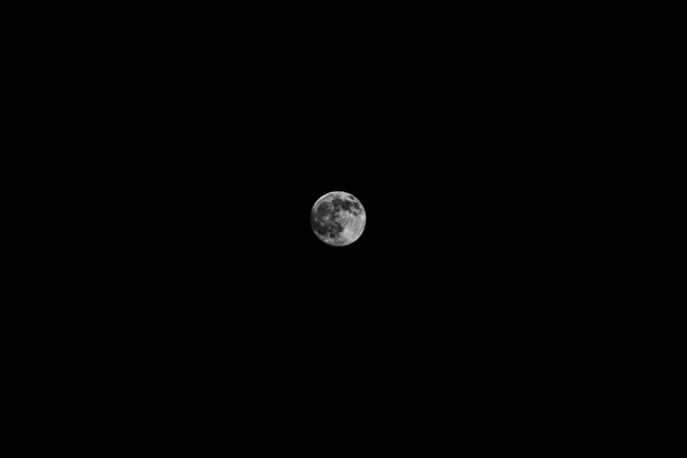 Moon Nature Black and White (Digital)