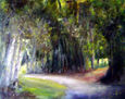 camino