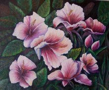 Flores de Ibiscus