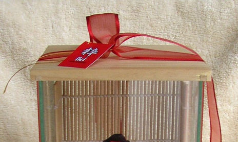 Muñecas japonesas