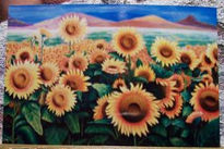 Campo de Girasoles