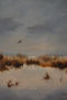 Paisaje.