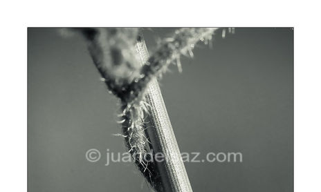 Fragile