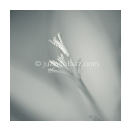 Fragile20