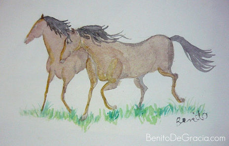 Equus