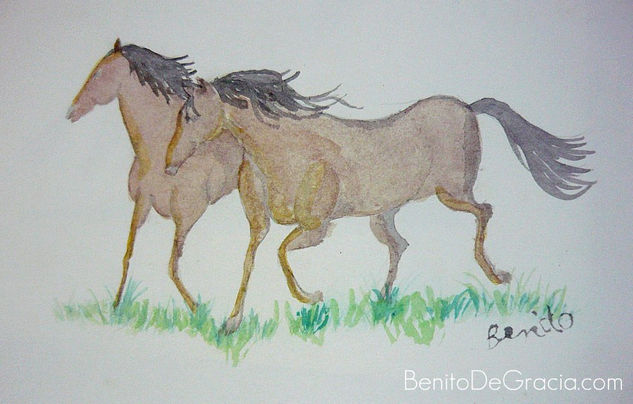 Equus Watercolour Card Animals