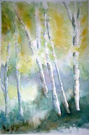 CLAROS DE BOSQUE I