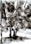 CLAROS DE BOSQUE III