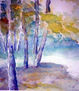 CLAROS DE BOSQUE IV
