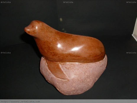 Xapóo