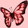mariposa