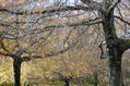 Otoño