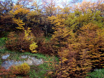 Otoño cálido