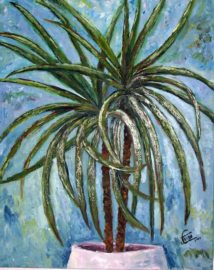 Palmera Óleo Lienzo