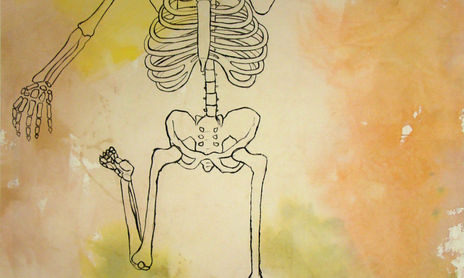 "Elucubraciones del Homo-instinto"