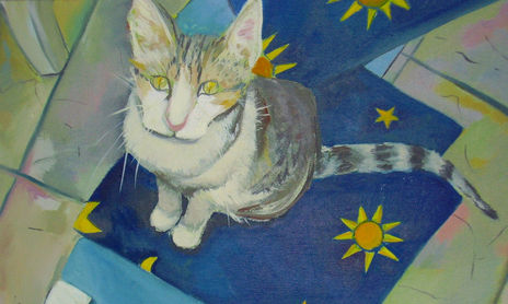 gatos