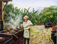 el trapiche camara