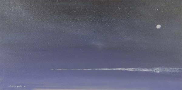 Vuelo nocturno Acrylic Canvas Landscaping