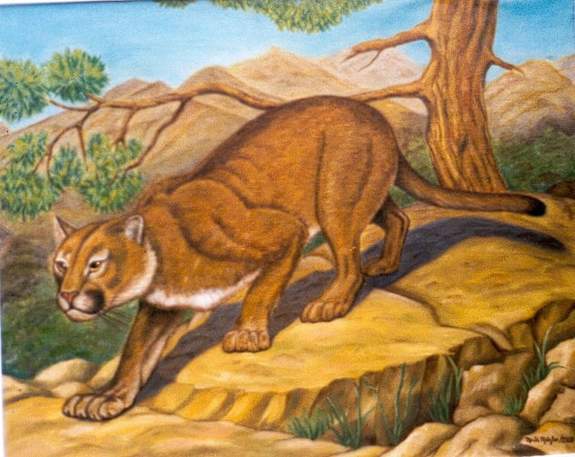 puma