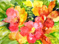 RAMILLETE DE COLORES   TONOS CALIENTES