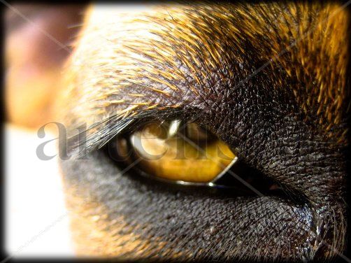 The look