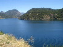 Parque Nacional Lanin