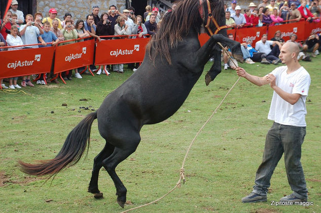 ASTURIAS 