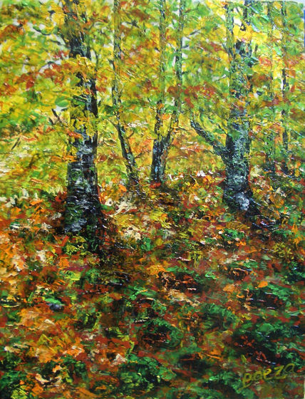 Sotobosque