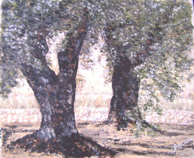 Dos olivos Oil Canvas Landscaping