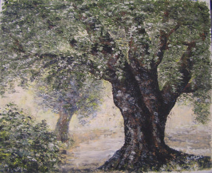 Olivo