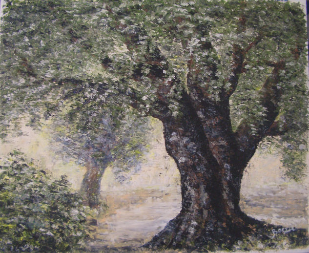 Olivo Oil Canvas Landscaping