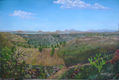 PAISAJE, SAN GREGORIO ATLAPULCO, XOCHIMILCO, MEXICO.