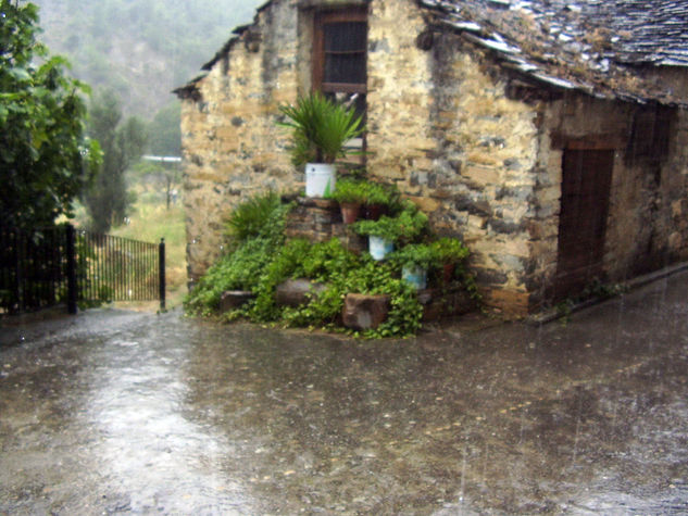 LLUEVE SOBRE CHARO 