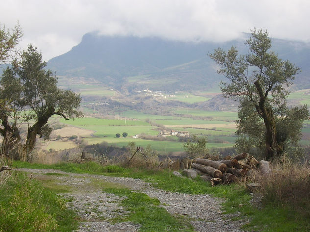 LA PEÑA MONTAÑESA 