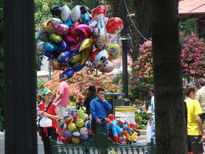 Una tarde en coyoacan