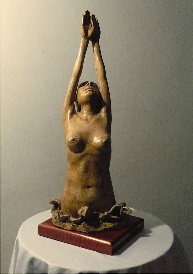 CLAVADO 2