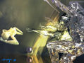 Diamantes