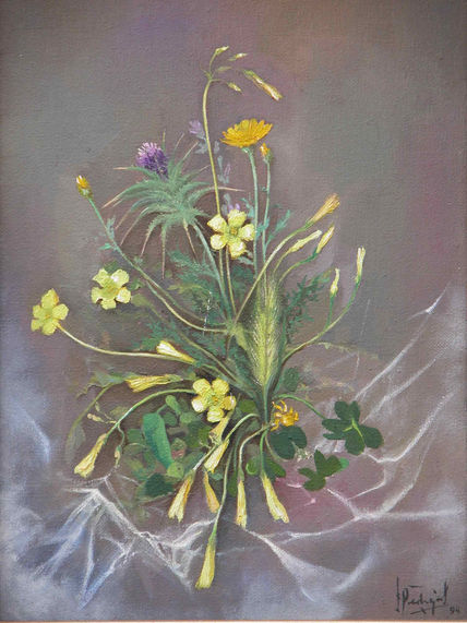 Flores silvestres
