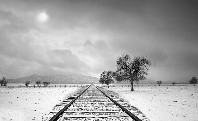 Hacia el Invierno Naturaleza Blanco y Negro (Digital)