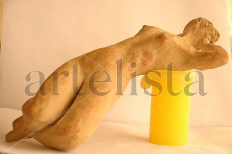 Desnudo realizado...