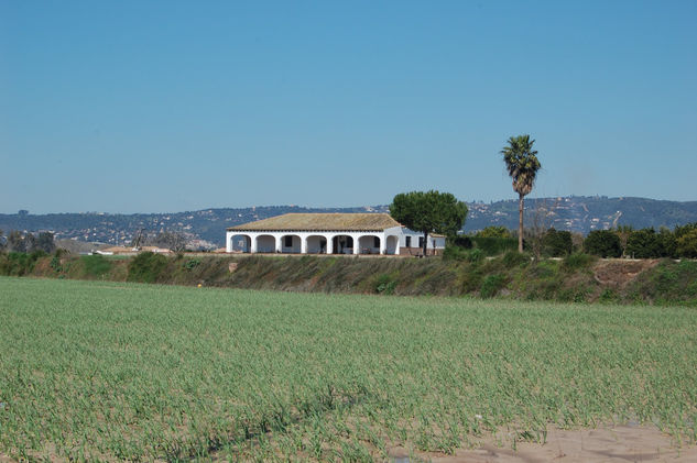 LA CASITA BLANCA 