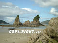PLAYA COVAS