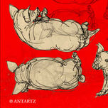 ANIMALES thumbnail 1