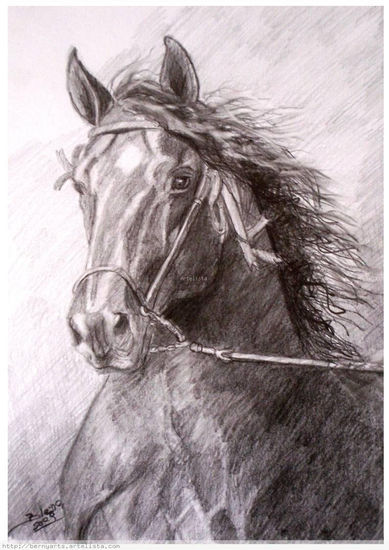 Cabeza de Caballo 2 Graphite