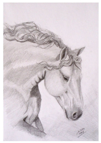 Cabeza de Caballo 3 Graphite